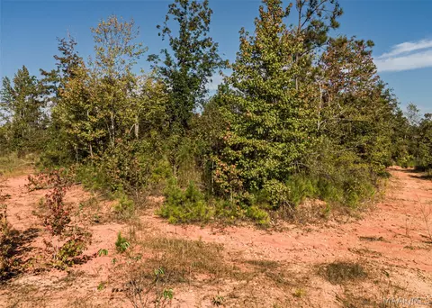 0 County Road 14 Rd, Equality, AL 36026 photo 8
