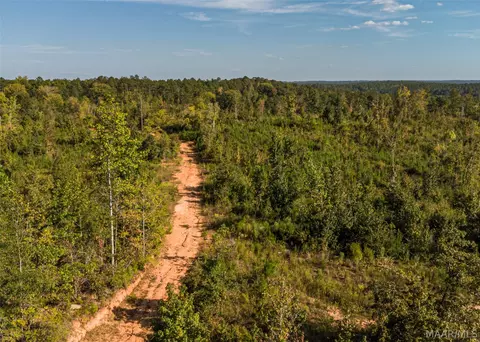 0 County Road 14 Rd, Equality, AL 36026 photo 10
