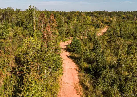 0 County Road 14 Rd, Equality, AL 36026 photo 4