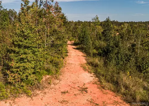 0 County Road 14 Rd, Equality, AL 36026 photo 6
