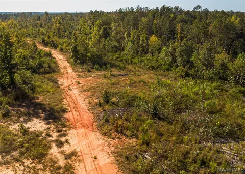 0 County Road 14 Rd, Equality, AL 36026 photo 9