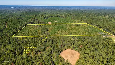 0 Tutt Rd, Thomasville, AL 36784