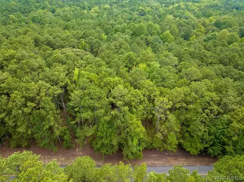 0 Mt Hebron Rd, Eclectic, AL 36024 photo 54