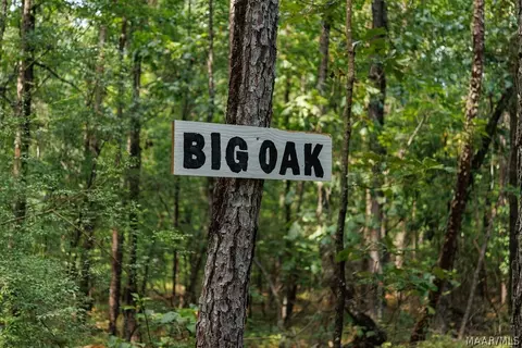 0 Mt Hebron Rd, Eclectic, AL 36024 photo 34