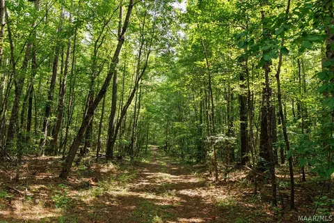 0 Mt Hebron Rd, Eclectic, AL 36024 photo 18