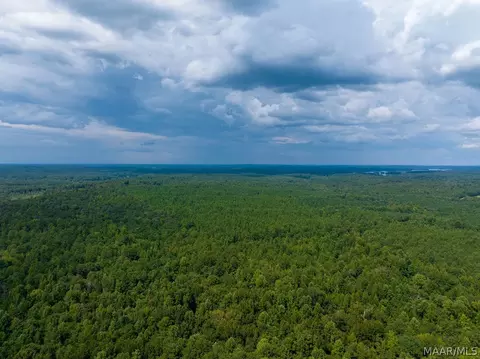 0 Mt Hebron Rd, Eclectic, AL 36024 photo 26