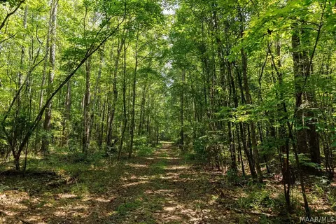 0 Mt Hebron Rd, Eclectic, AL 36024 photo 19