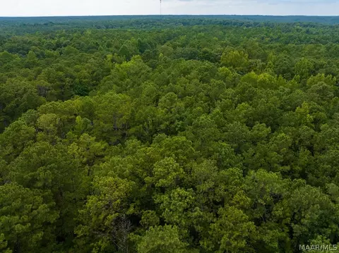 0 Mt Hebron Rd, Eclectic, AL 36024 photo 59
