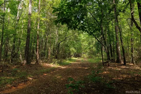 0 Mt Hebron Rd, Eclectic, AL 36024 photo 31