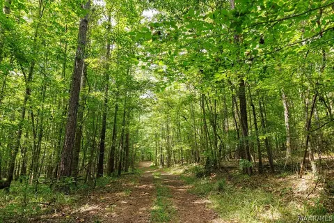 0 Mt Hebron Rd, Eclectic, AL 36024 photo 4