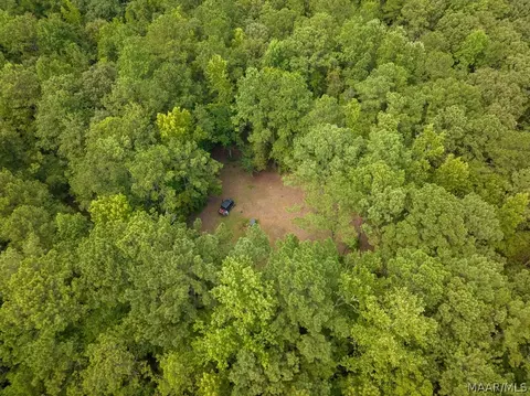 0 Mt Hebron Rd, Eclectic, AL 36024 photo 46