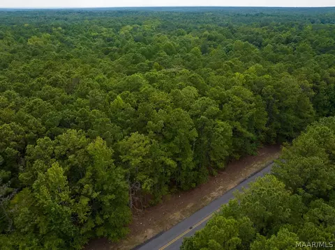 0 Mt Hebron Rd, Eclectic, AL 36024 photo 53