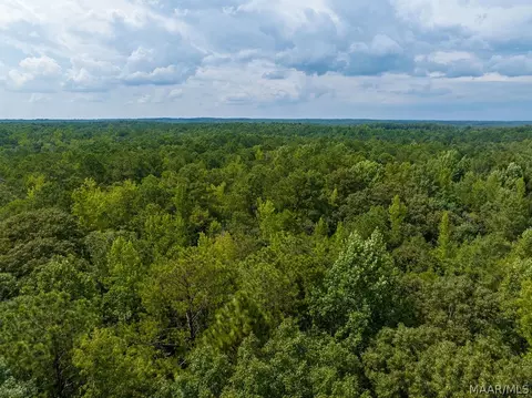 0 Mt Hebron Rd, Eclectic, AL 36024 photo 28