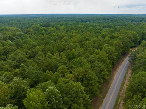 0 Mt Hebron Rd, Eclectic, AL 36024 photo 55