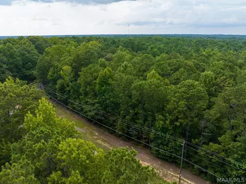 0 Mt Hebron Rd, Eclectic, AL 36024 photo 47