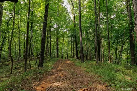 0 Mt Hebron Rd, Eclectic, AL 36024 photo 37
