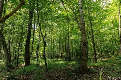 0 Mt Hebron Rd, Eclectic, AL 36024 photo 3