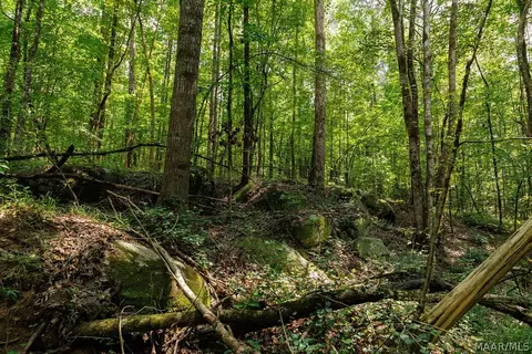 0 Mt Hebron Rd, Eclectic, AL 36024 photo 6