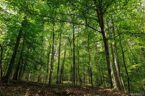 0 Mt Hebron Rd, Eclectic, AL 36024 photo 5