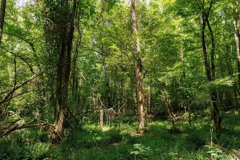 0 Mt Hebron Rd, Eclectic, AL 36024 photo 10