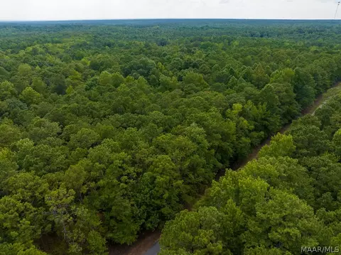 0 Mt Hebron Rd, Eclectic, AL 36024 photo 62