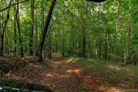 0 Mt Hebron Rd, Eclectic, AL 36024 photo 35