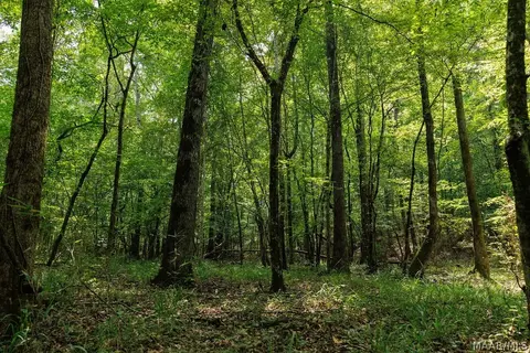 0 Mt Hebron Rd, Eclectic, AL 36024 photo 22