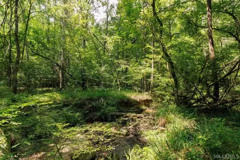 0 Mt Hebron Rd, Eclectic, AL 36024 photo 8