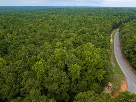 0 Mt Hebron Rd, Eclectic, AL 36024 photo 50