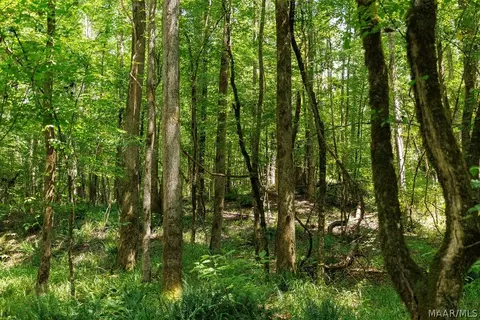 0 Mt Hebron Rd, Eclectic, AL 36024 photo 11