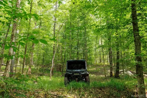 0 Mt Hebron Rd, Eclectic, AL 36024 photo 23