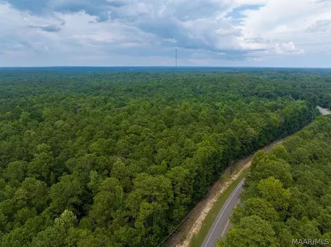 0 Mt Hebron Rd, Eclectic, AL 36024 photo 44
