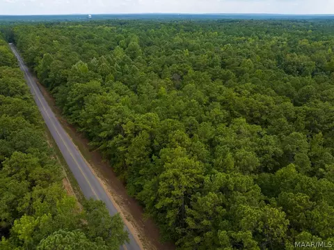 0 Mt Hebron Rd, Eclectic, AL 36024 photo 56