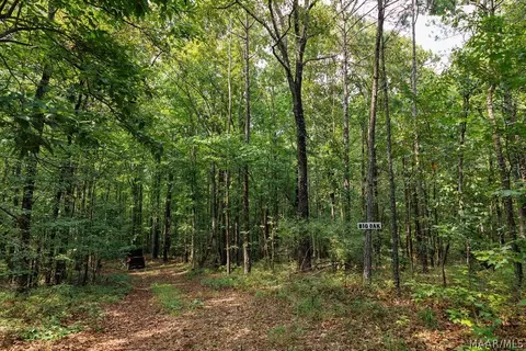 0 Mt Hebron Rd, Eclectic, AL 36024 photo 32