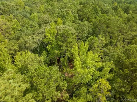 0 Mt Hebron Rd, Eclectic, AL 36024 photo 29