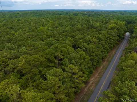 0 Mt Hebron Rd, Eclectic, AL 36024 photo 58