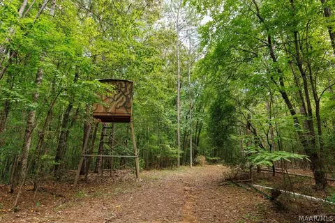 0 Mt Hebron Rd, Eclectic, AL 36024 photo 39