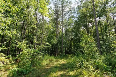 0 Mt Hebron Rd, Eclectic, AL 36024 photo 15