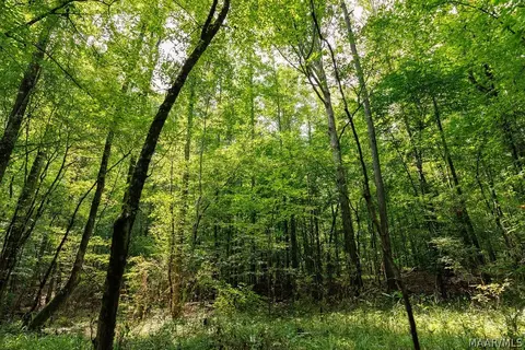 0 Mt Hebron Rd, Eclectic, AL 36024 photo 21