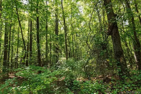 0 Mt Hebron Rd, Eclectic, AL 36024 photo 17