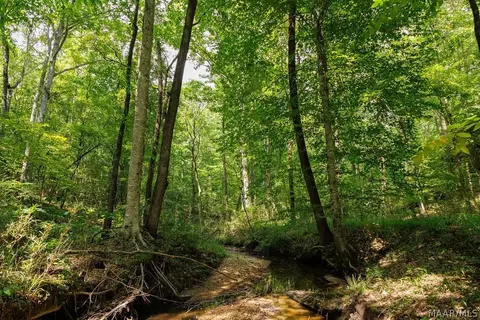 0 Mt Hebron Rd, Eclectic, AL 36024 photo 60