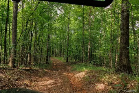 0 Mt Hebron Rd, Eclectic, AL 36024 photo 36