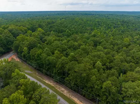 0 Mt Hebron Rd, Eclectic, AL 36024 photo 61