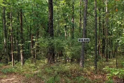 0 Mt Hebron Rd, Eclectic, AL 36024 photo 33