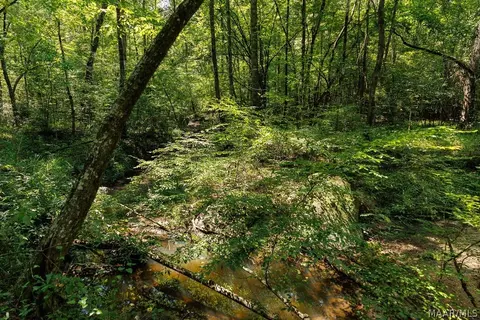 0 Mt Hebron Rd, Eclectic, AL 36024 photo 9