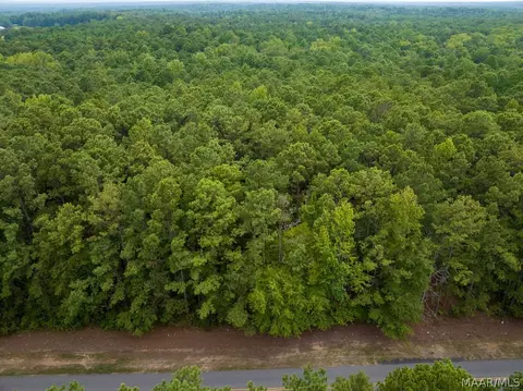 0 Mt Hebron Rd, Eclectic, AL 36024 photo 52