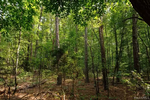 0 Mt Hebron Rd, Eclectic, AL 36024 photo 30