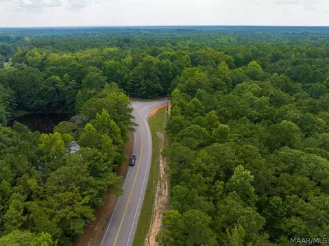 0 Mt Hebron Rd, Eclectic, AL 36024 photo 48