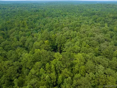 0 Mt Hebron Rd, Eclectic, AL 36024 photo 45