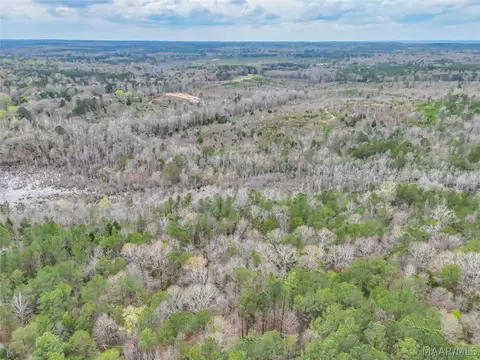0 Brownin Rd, Ralph, AL 35480 photo 12